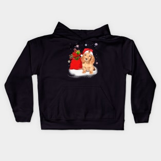 Christmas Santa Dachshund Kids Hoodie